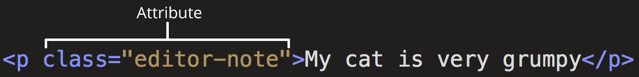 带有“class="editor-note"”属性的段落标签