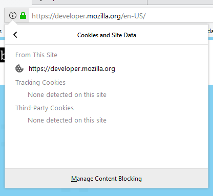 页面信息，显示 cookie 和站点数据。